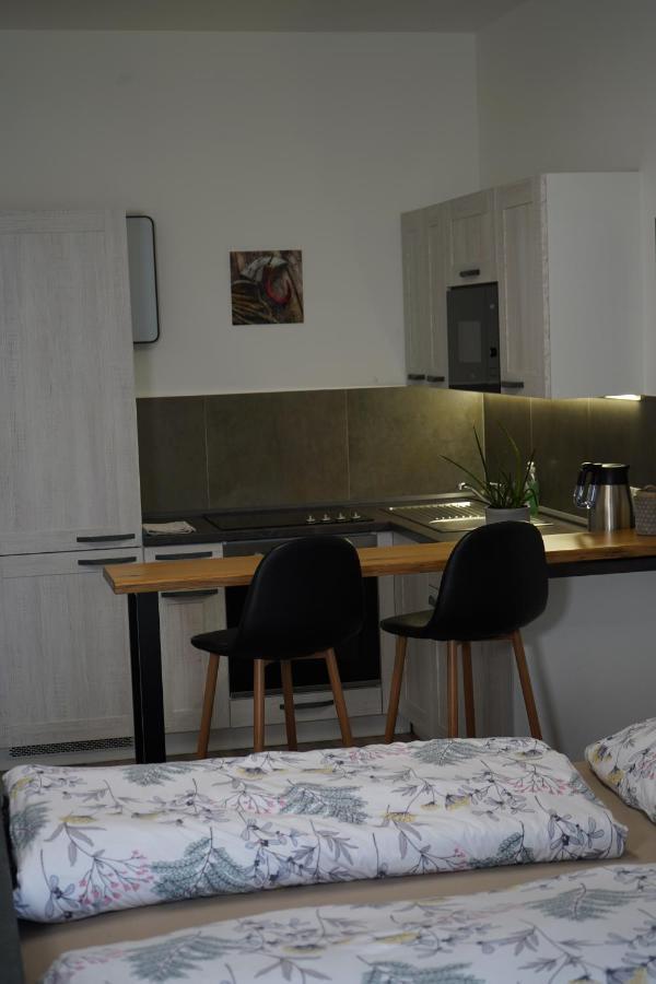 Hofmann Apartment Cheb Bagian luar foto